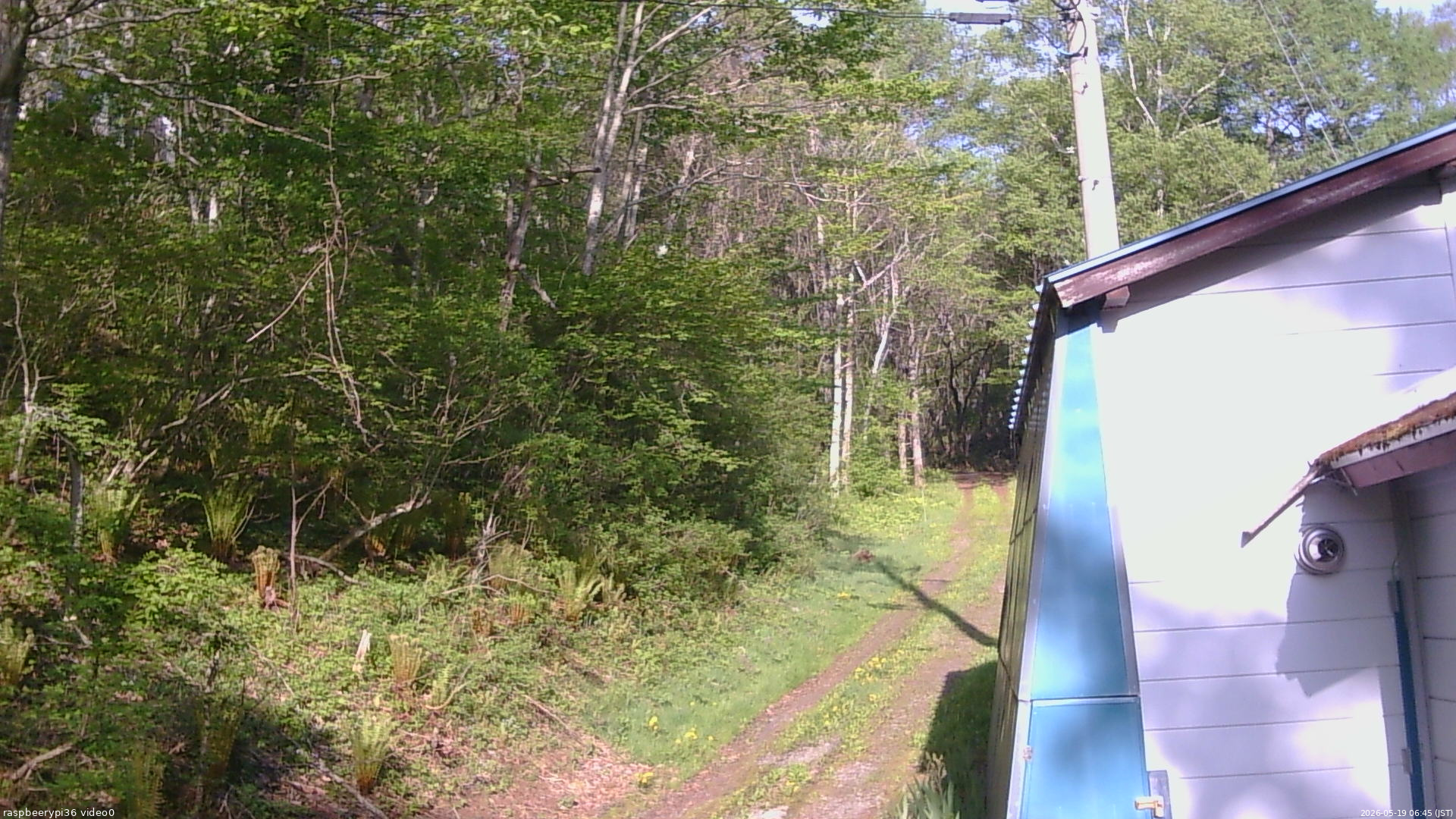 長野県菅平高原 ゆたか山荘 ゆたか山荘 2026/05/19 06:45