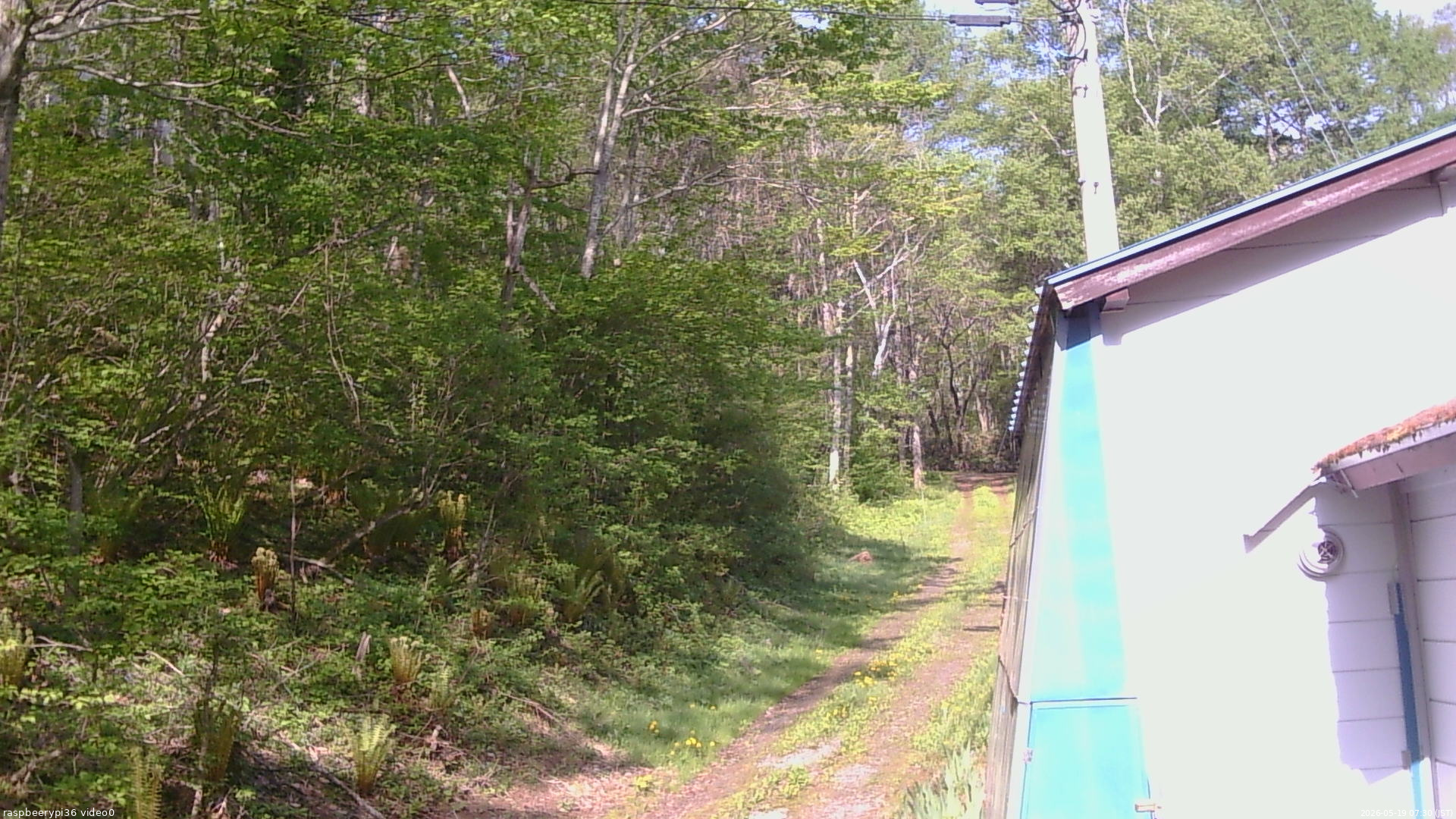 長野県菅平高原 ゆたか山荘 ゆたか山荘 2026/05/19 07:30