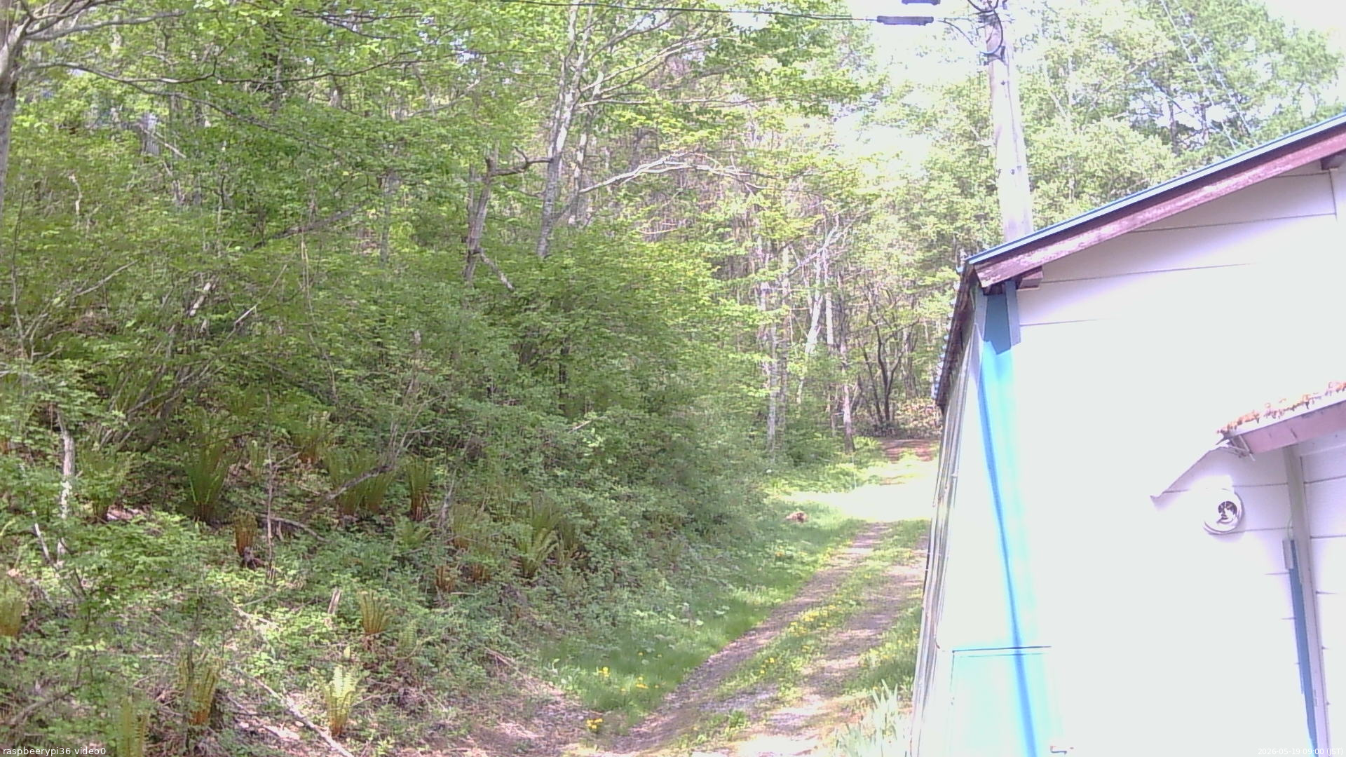 長野県菅平高原 ゆたか山荘 ゆたか山荘 2026/05/19 09:00