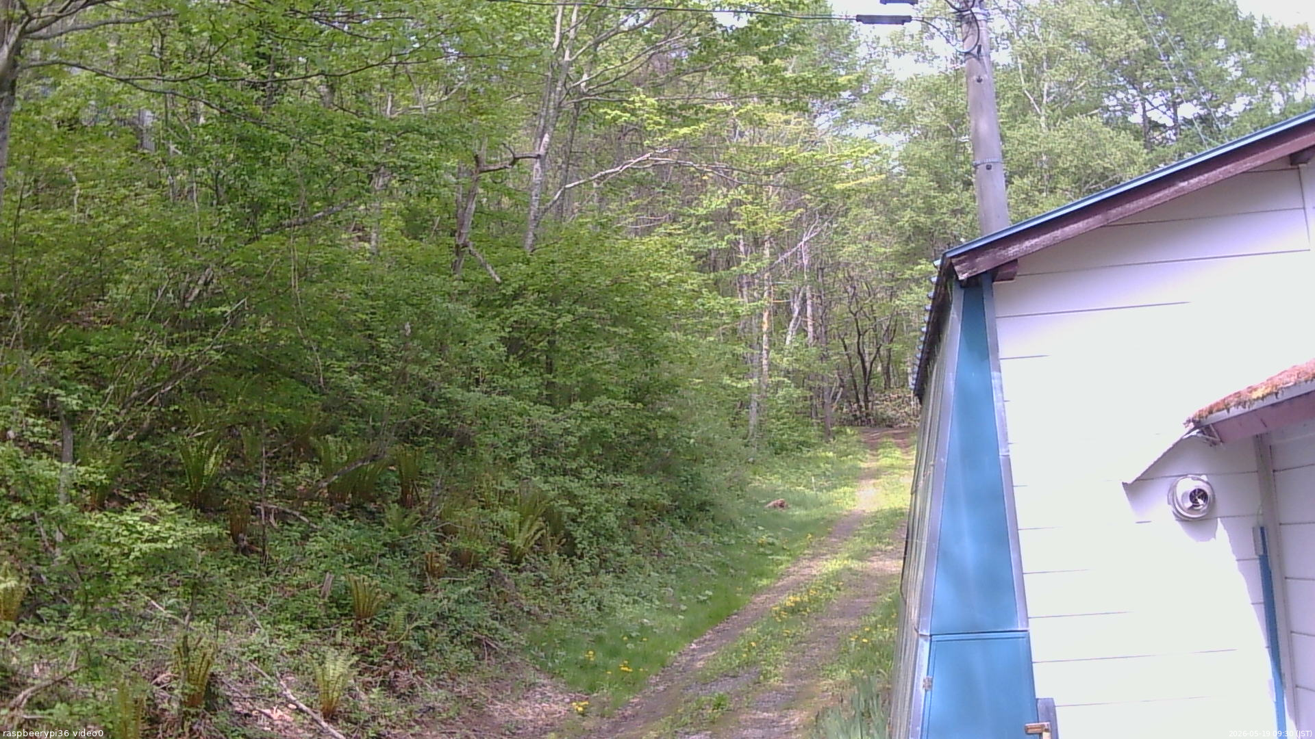 長野県菅平高原 ゆたか山荘 ゆたか山荘 2026/05/19 09:30