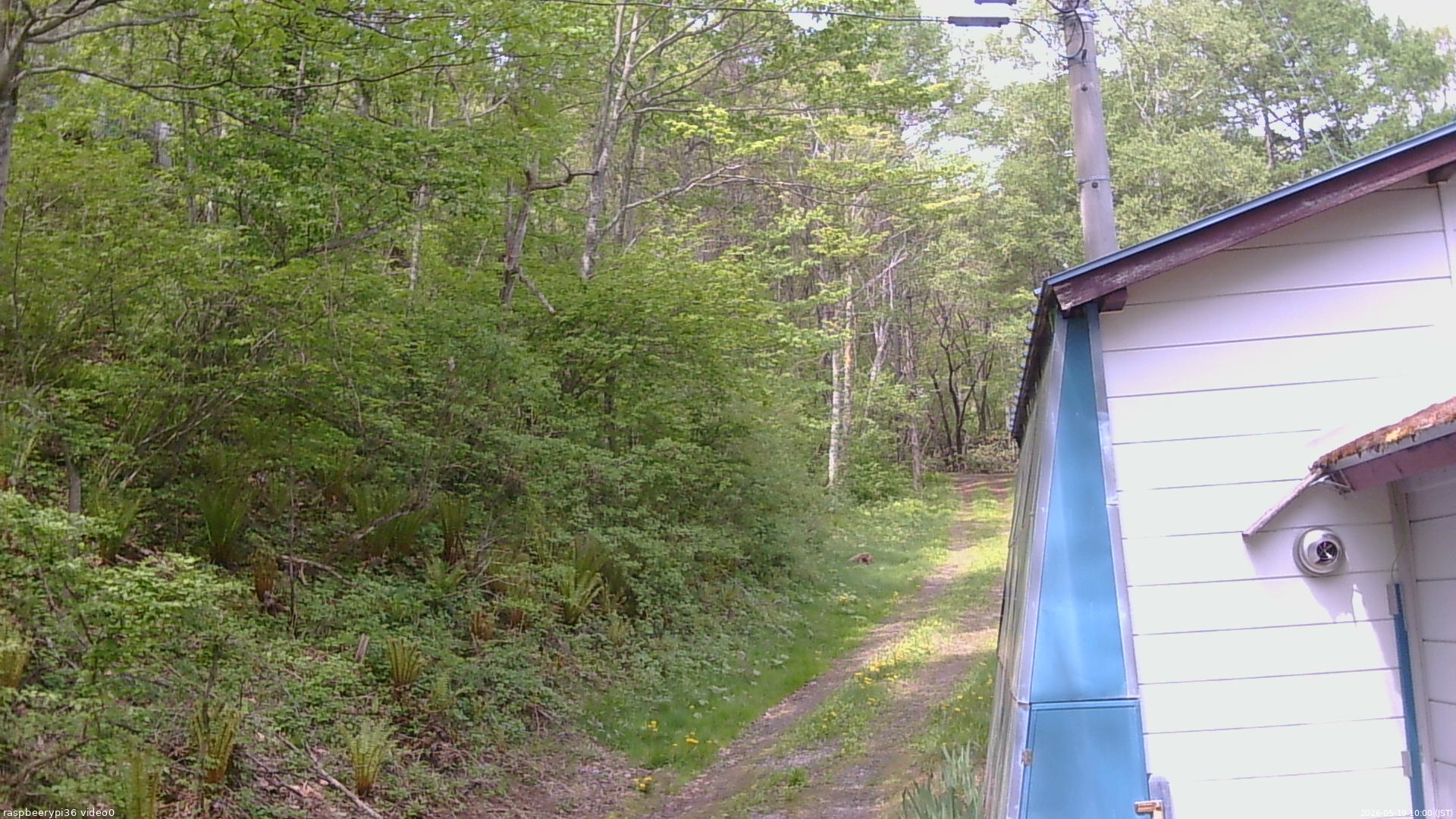 長野県菅平高原 ゆたか山荘 ゆたか山荘 2026/05/19 10:00