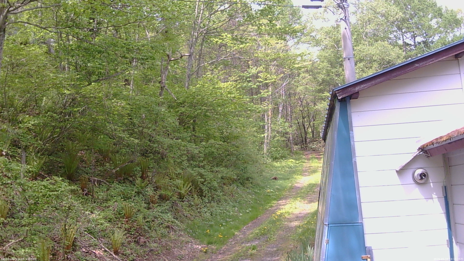 長野県菅平高原 ゆたか山荘 ゆたか山荘 2026/05/19 10:15