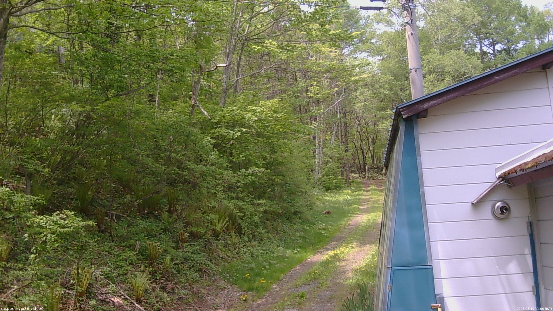 長野県菅平高原 ゆたか山荘 ゆたか山荘 2026/05/19 11:00