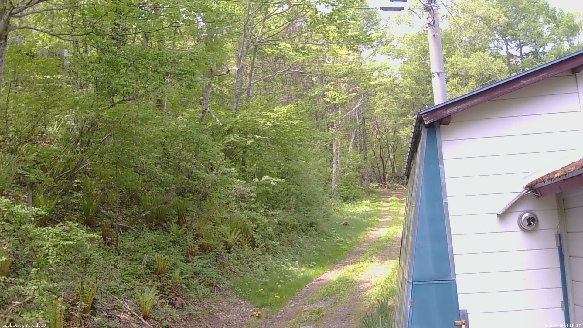 長野県菅平高原 ゆたか山荘 ゆたか山荘 2026/05/19 11:15