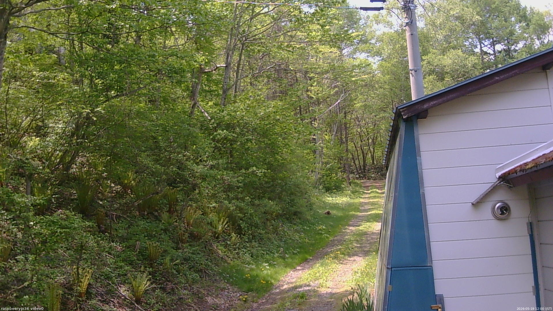 長野県菅平高原 ゆたか山荘 ゆたか山荘 2026/05/19 12:00