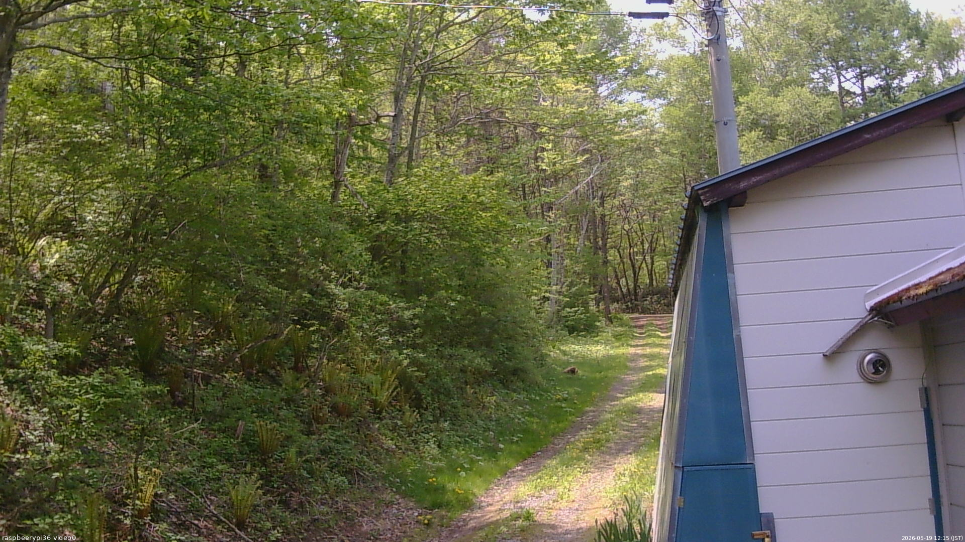 長野県菅平高原 ゆたか山荘 ゆたか山荘 2026/05/19 12:15
