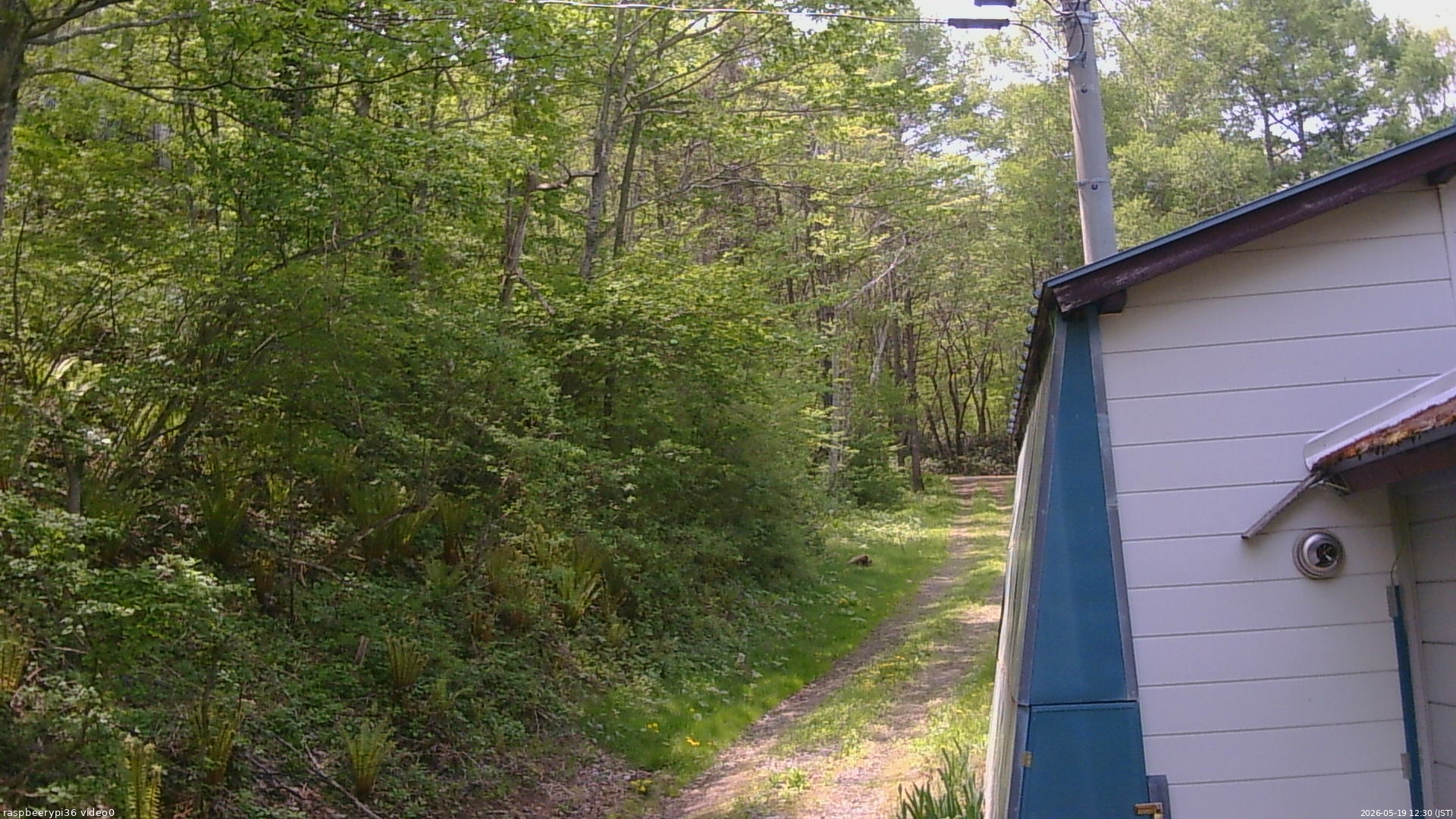 長野県菅平高原 ゆたか山荘 ゆたか山荘 2026/05/19 12:30