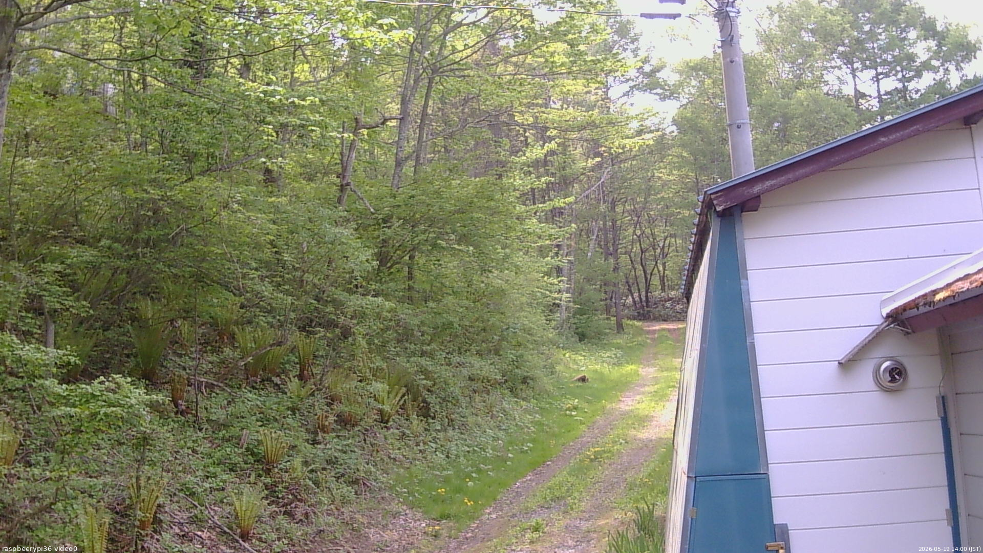 長野県菅平高原 ゆたか山荘 ゆたか山荘 2026/05/19 14:00