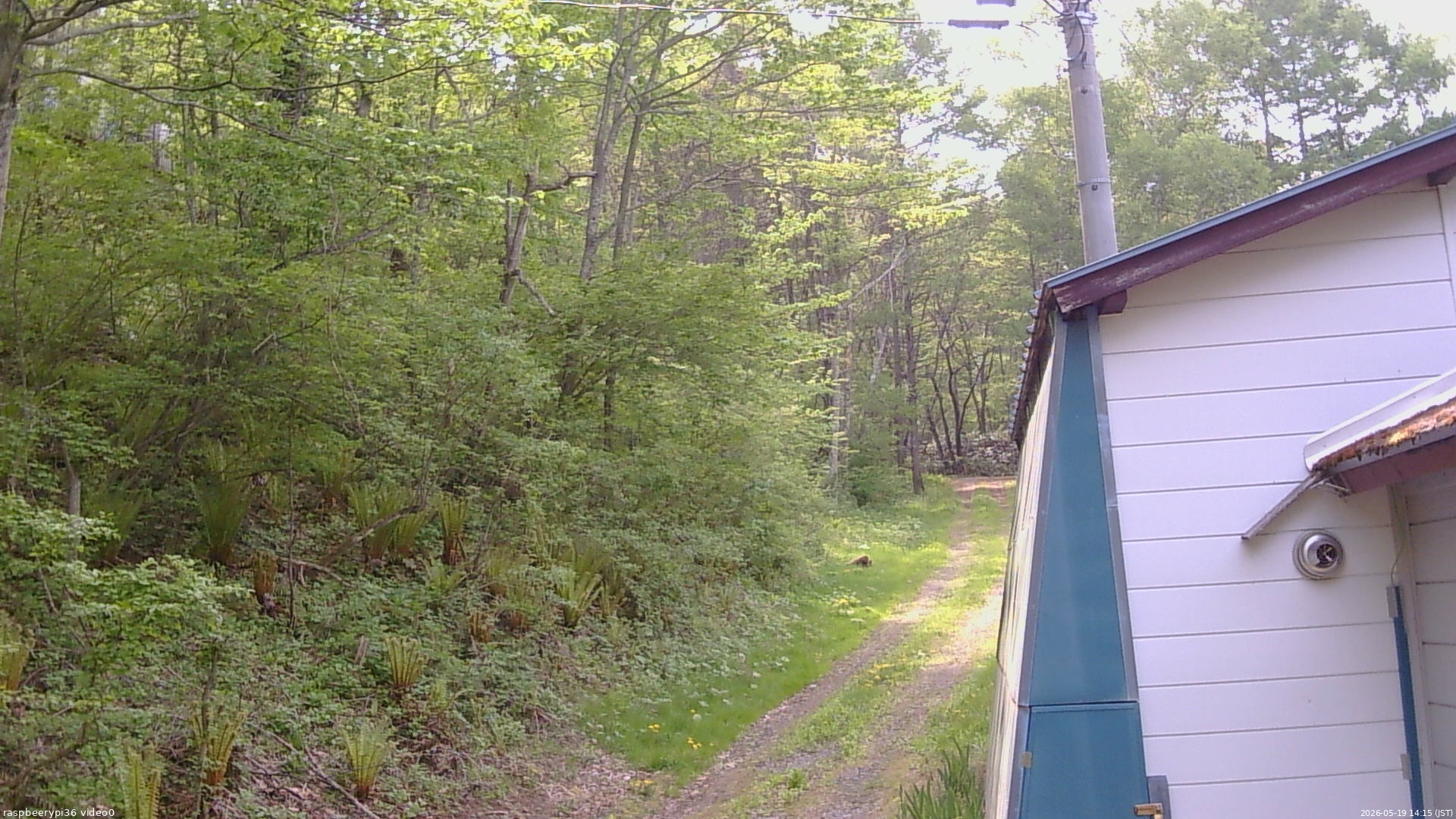 長野県菅平高原 ゆたか山荘 ゆたか山荘 2026/05/19 14:15