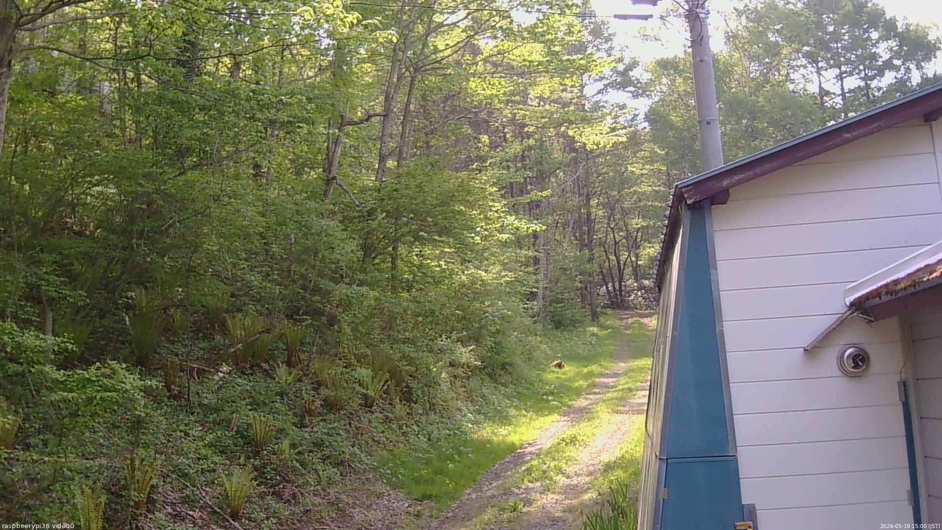 長野県菅平高原 ゆたか山荘 ゆたか山荘 2026/05/19 15:00