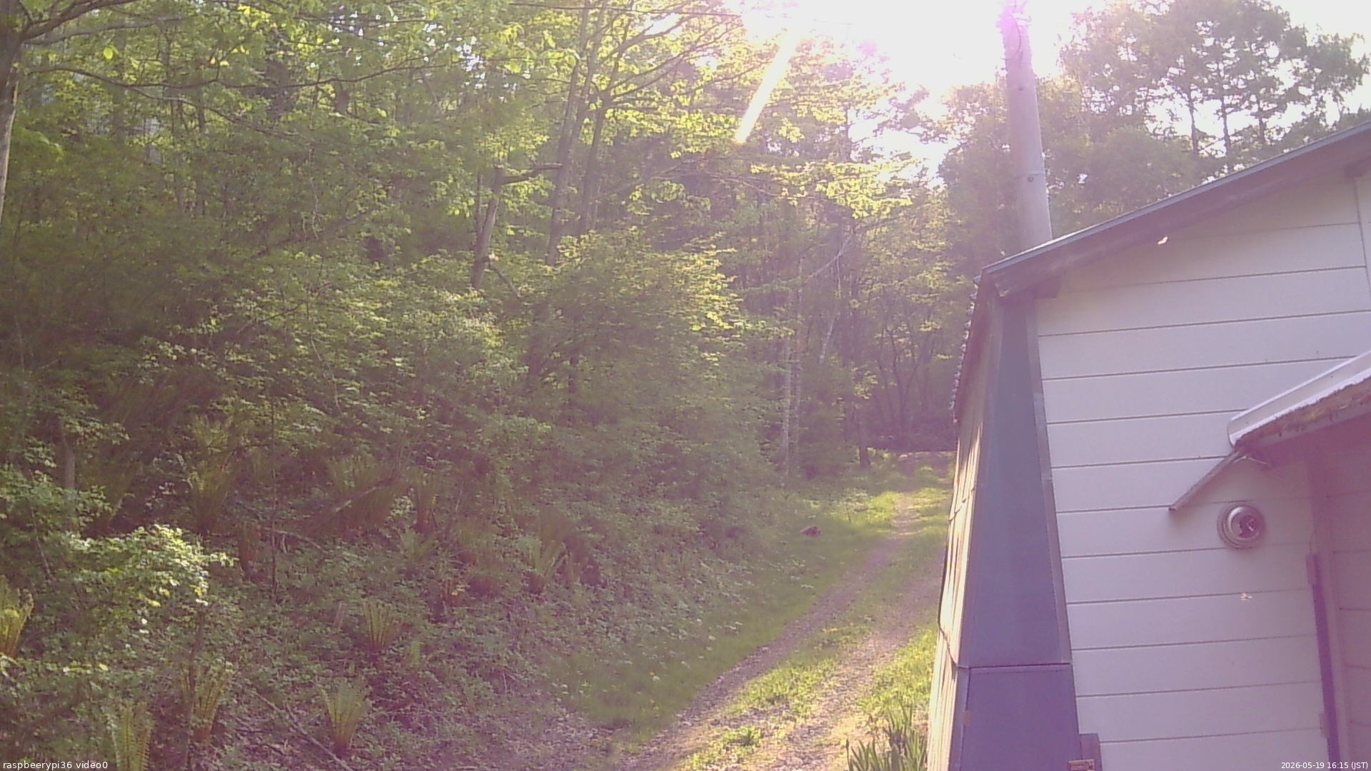 長野県菅平高原 ゆたか山荘 ゆたか山荘 2026/05/19 16:15