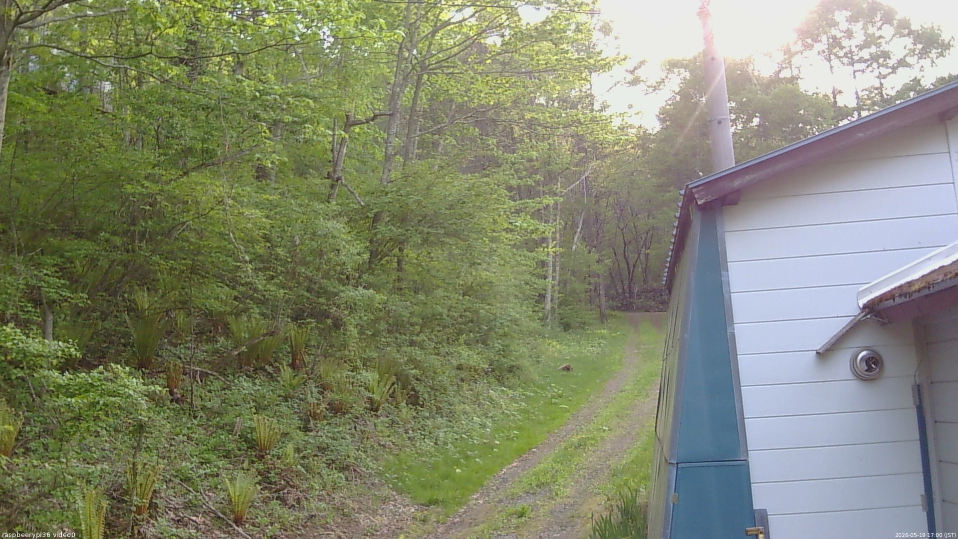 長野県菅平高原 ゆたか山荘 ゆたか山荘 2026/05/19 17:00