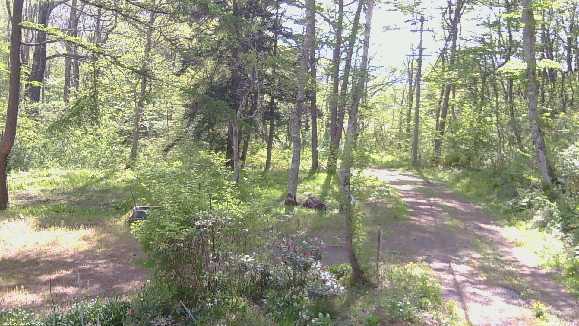 長野県菅平高原 ゆたか山荘 坂上 2026/05/19 08:15