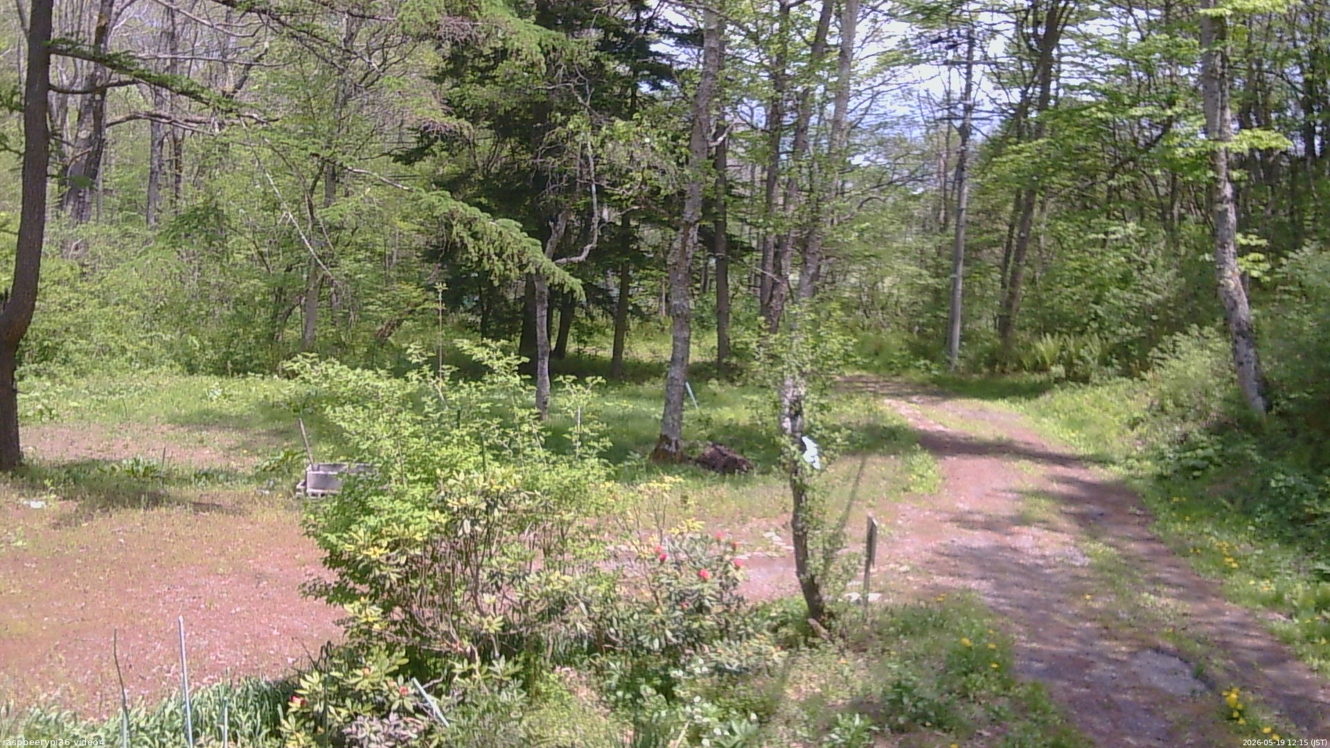 長野県菅平高原 ゆたか山荘 坂上 2026/05/19 12:15