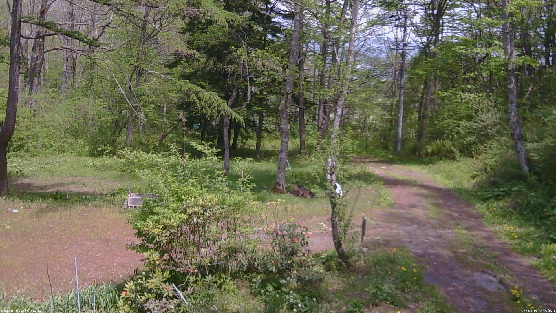 長野県菅平高原 ゆたか山荘 坂上 2026/05/19 12:45
