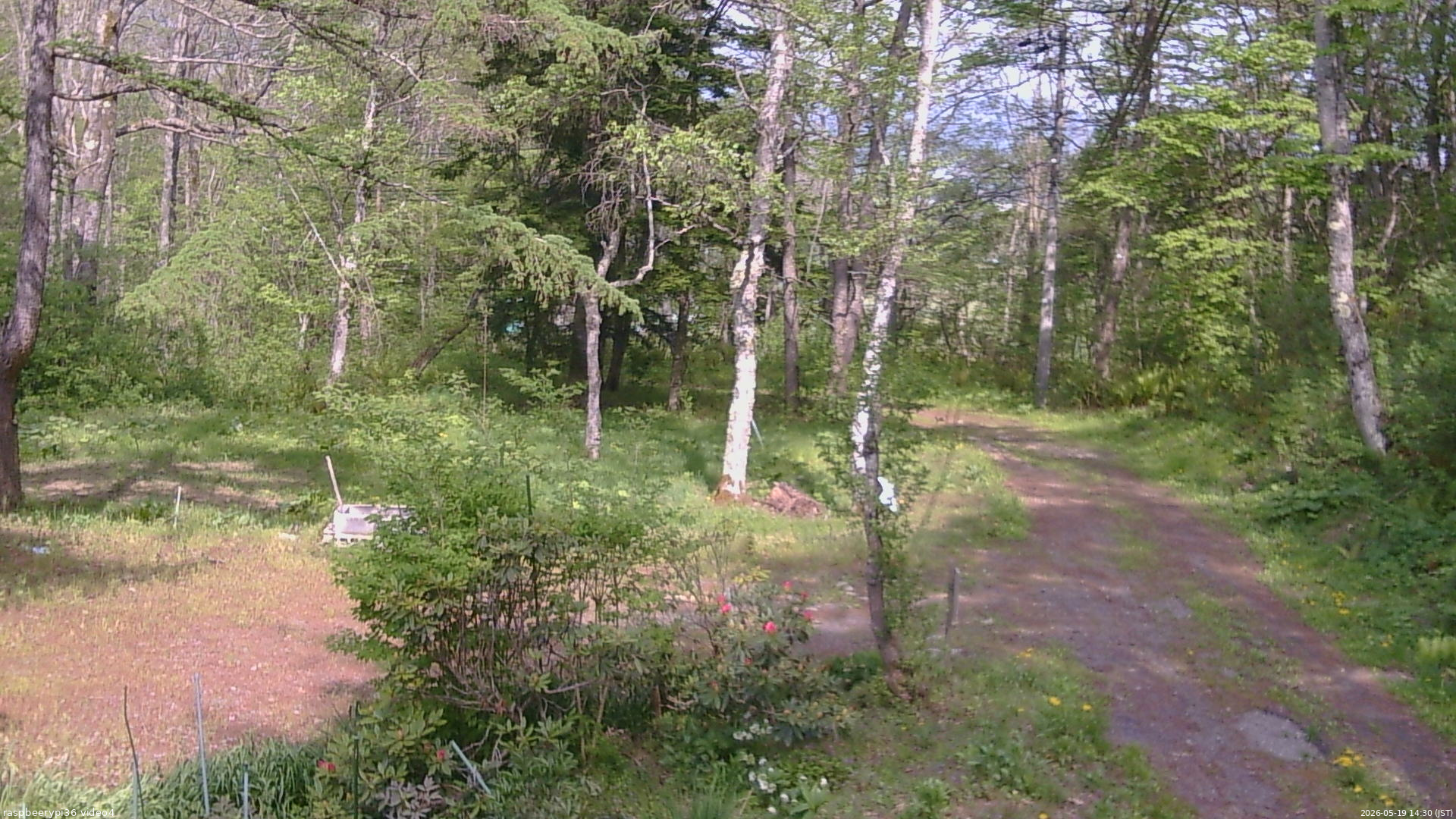 長野県菅平高原 ゆたか山荘 坂上 2026/05/19 14:30