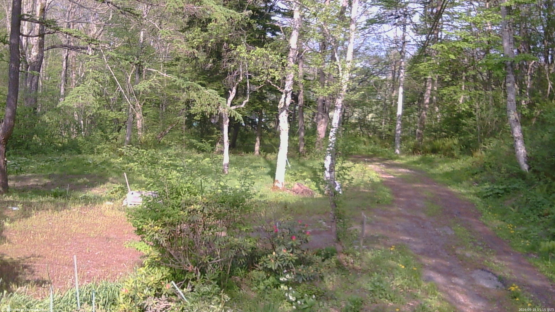 長野県菅平高原 ゆたか山荘 坂上 2026/05/19 15:15