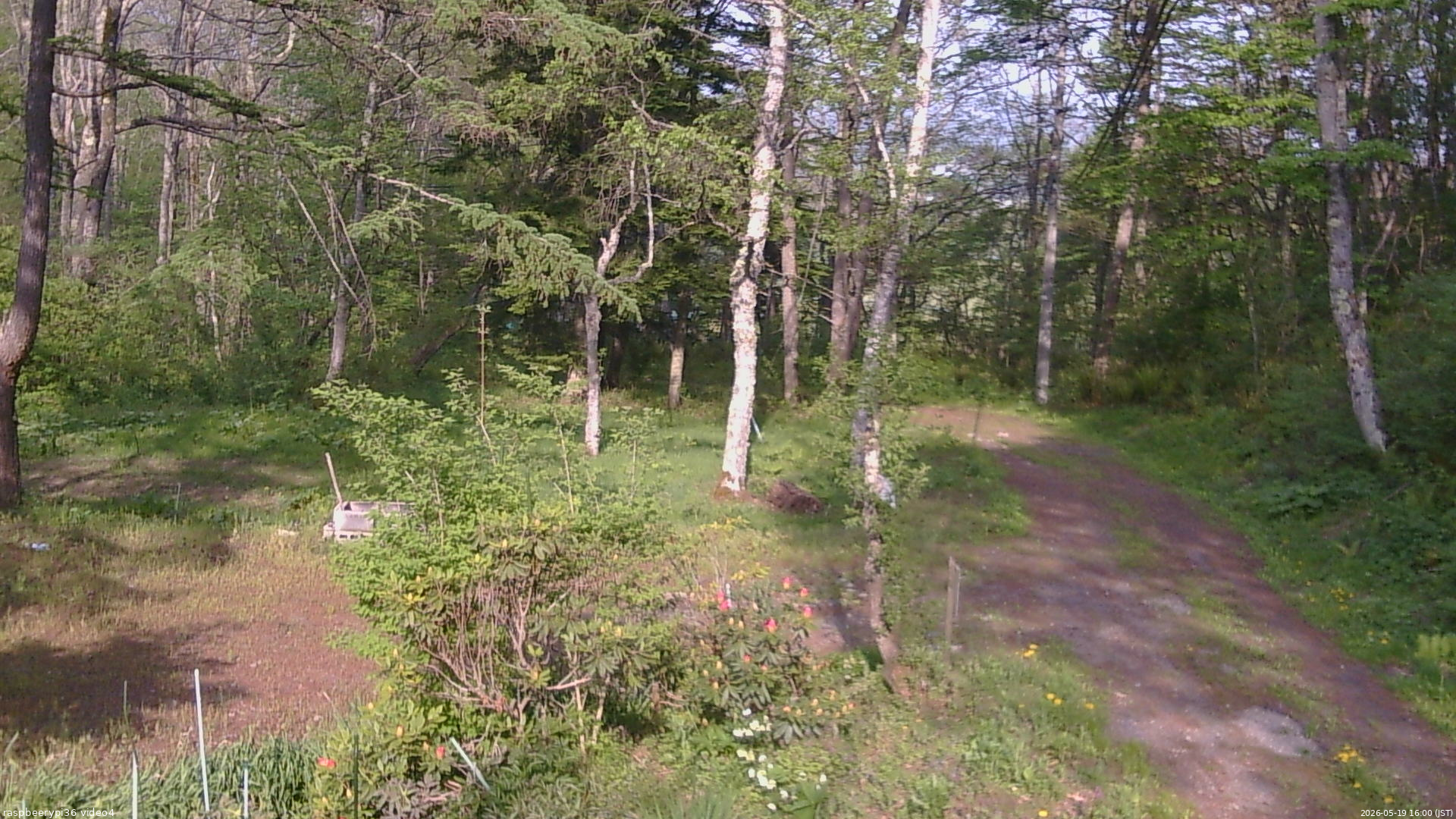 長野県菅平高原 ゆたか山荘 坂上 2026/05/19 16:00