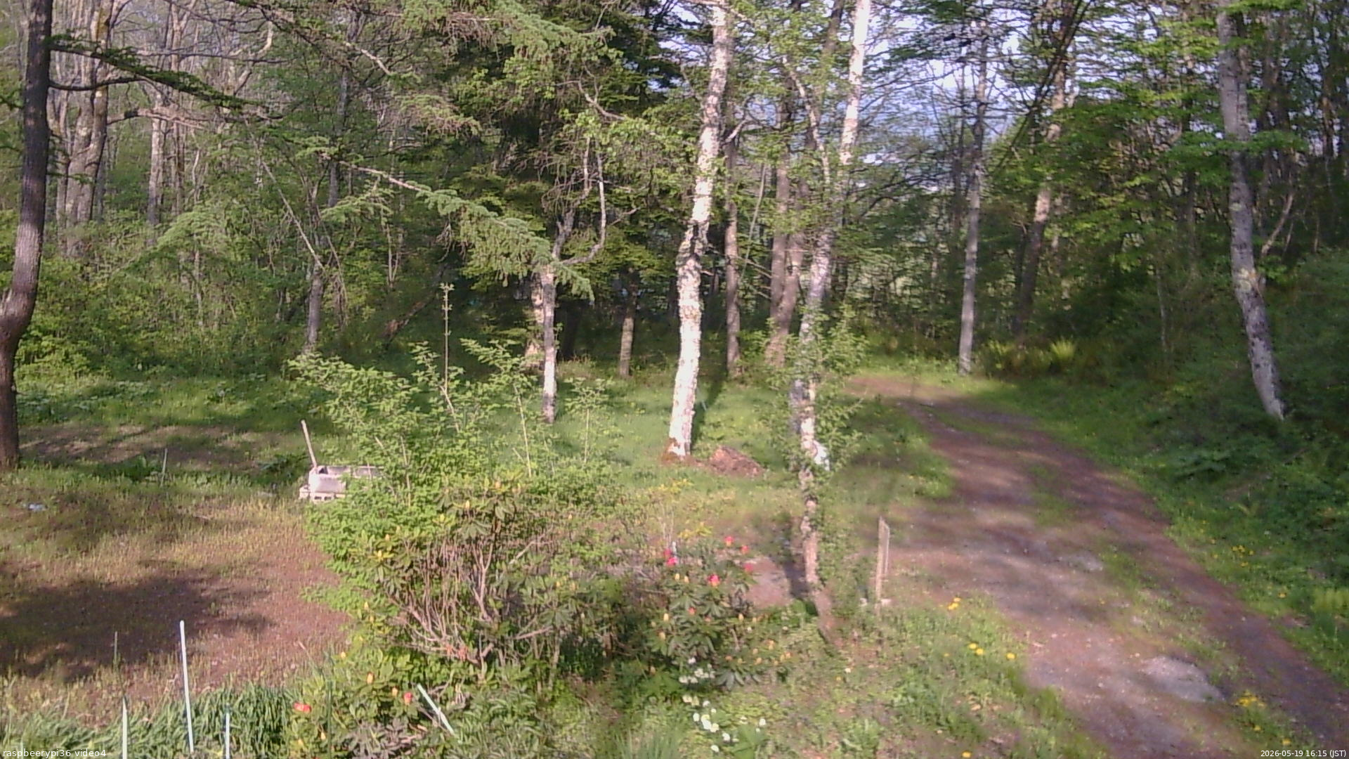 長野県菅平高原 ゆたか山荘 坂上 2026/05/19 16:15