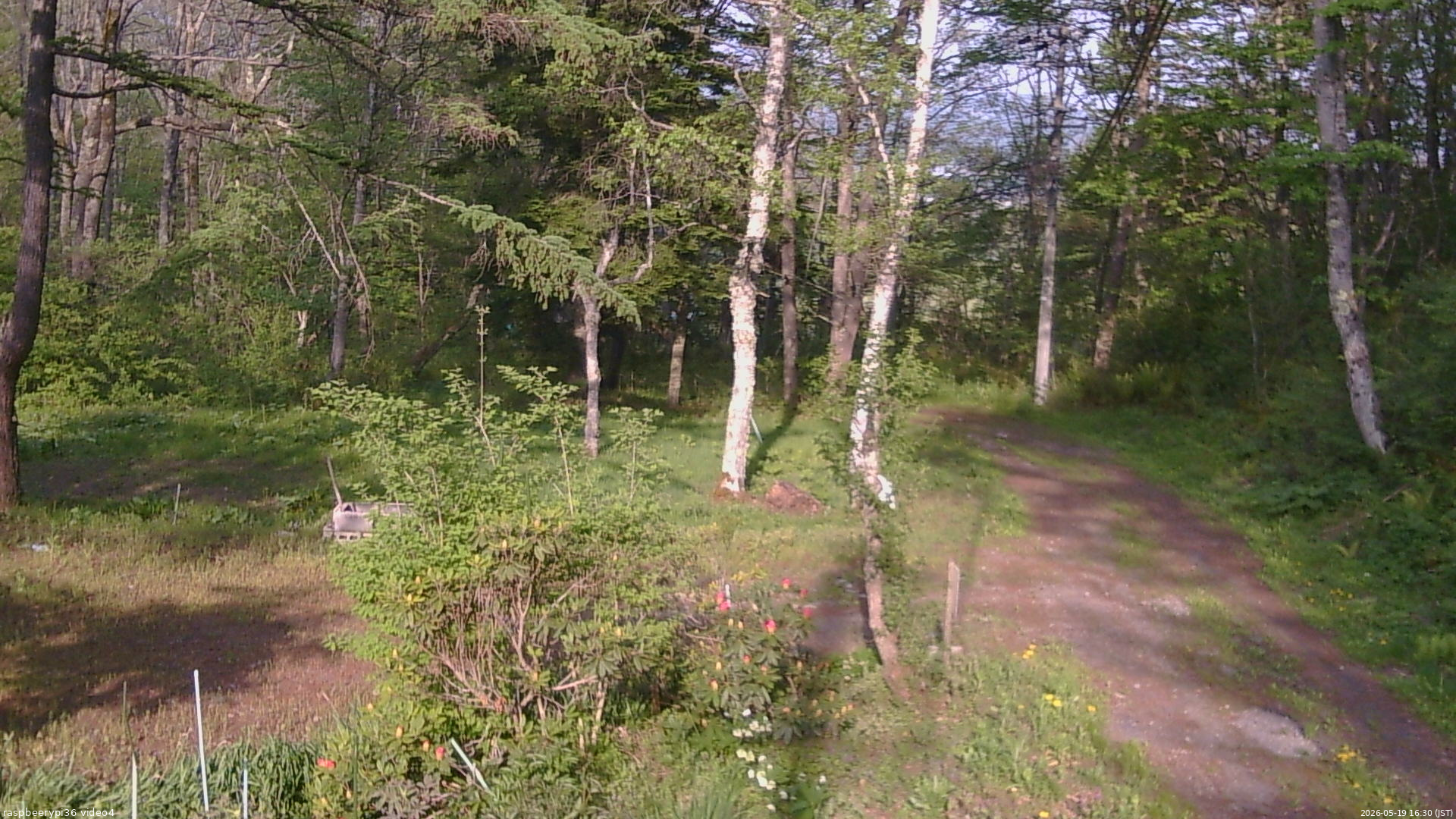 長野県菅平高原 ゆたか山荘 坂上 2026/05/19 16:30