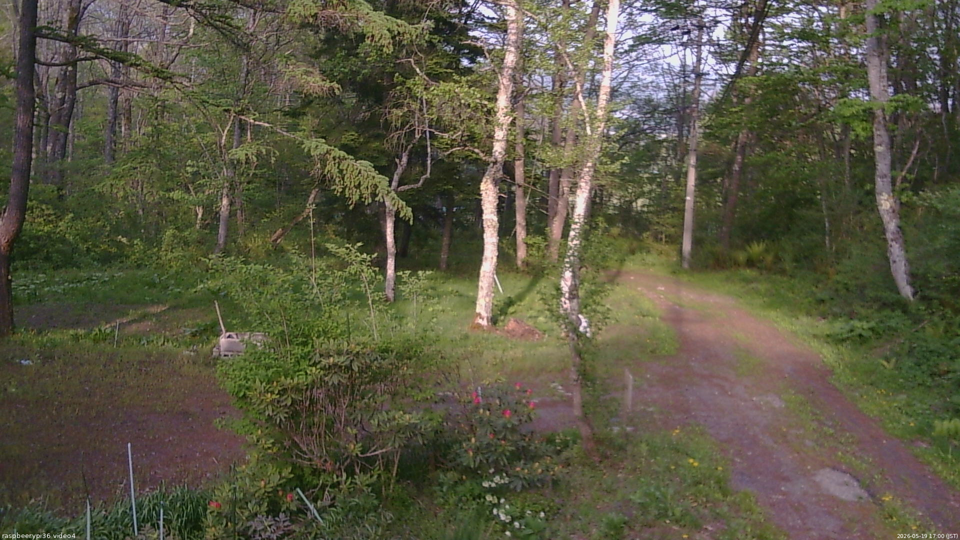 長野県菅平高原 ゆたか山荘 坂上 2026/05/19 17:00