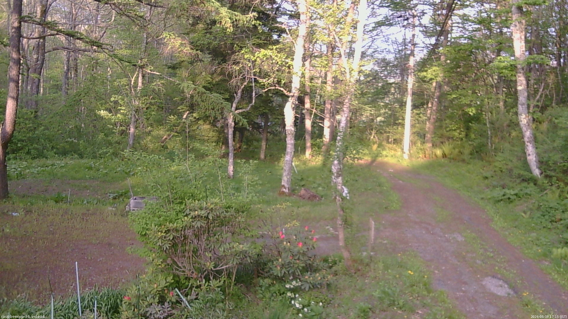 長野県菅平高原 ゆたか山荘 坂上 2026/05/19 17:15