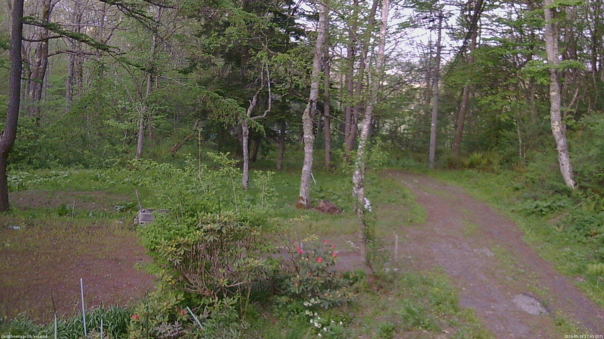 長野県菅平高原 ゆたか山荘 坂上 2026/05/19 17:45