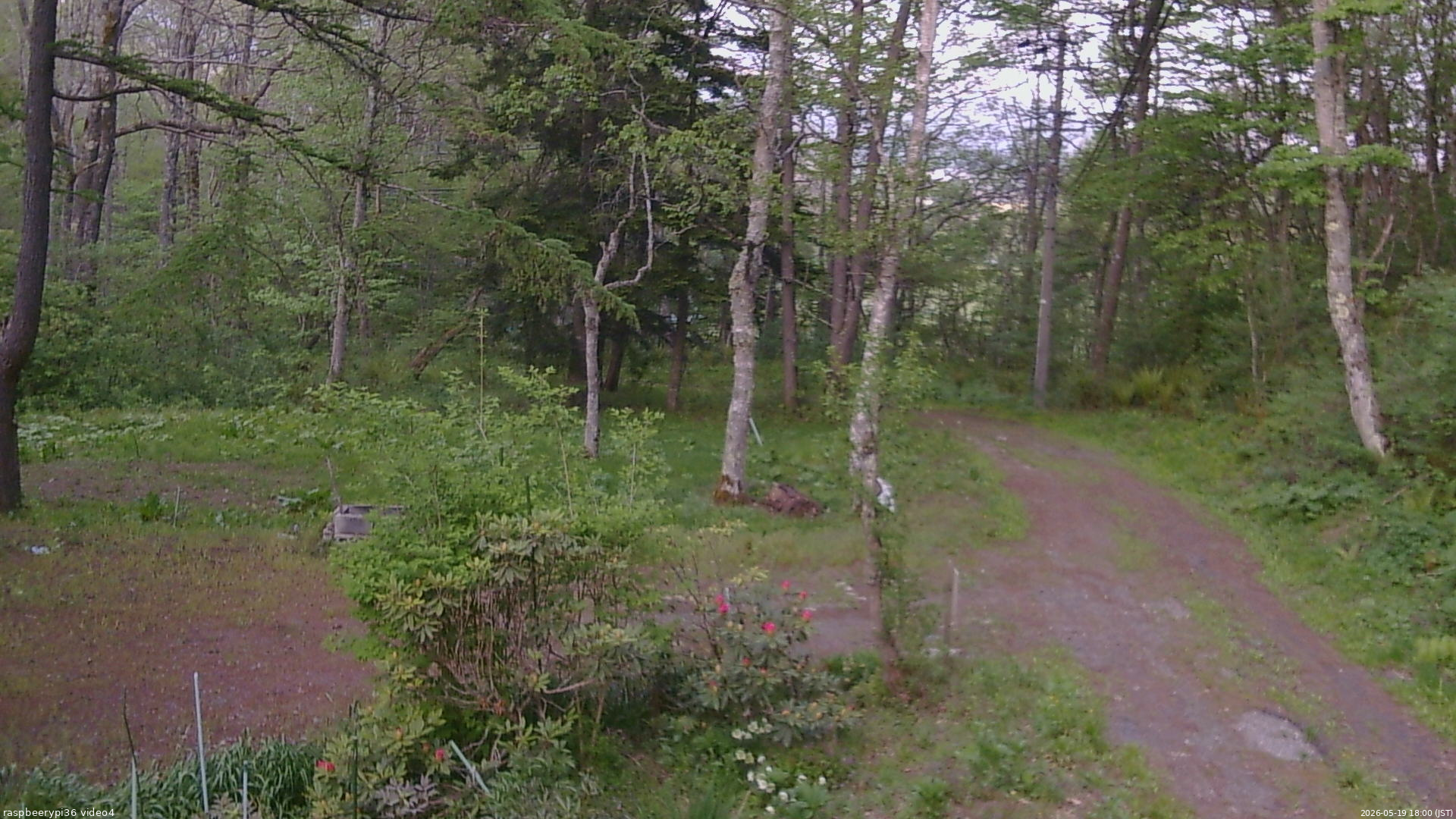 長野県菅平高原 ゆたか山荘 坂上 2026/05/19 18:00