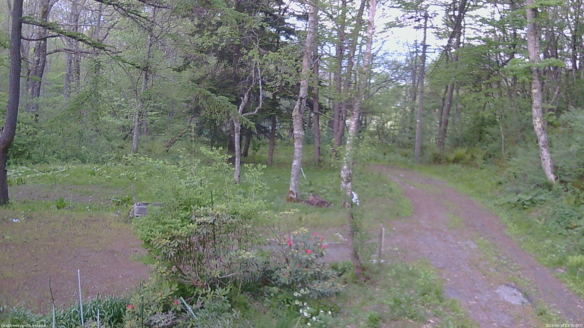 長野県菅平高原 ゆたか山荘 坂上 2026/05/19 18:30