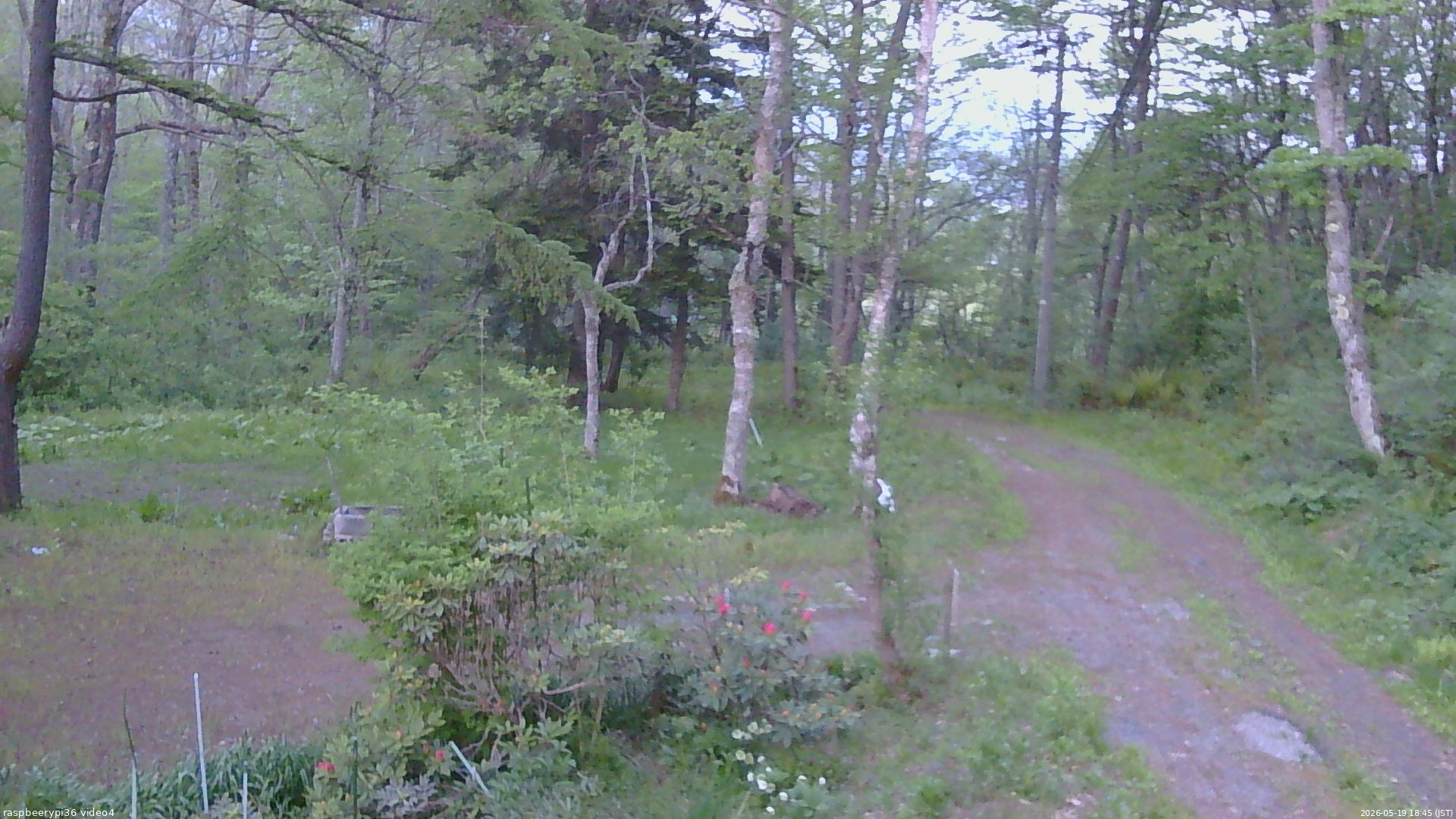 長野県菅平高原 ゆたか山荘 坂上 2026/05/19 18:45