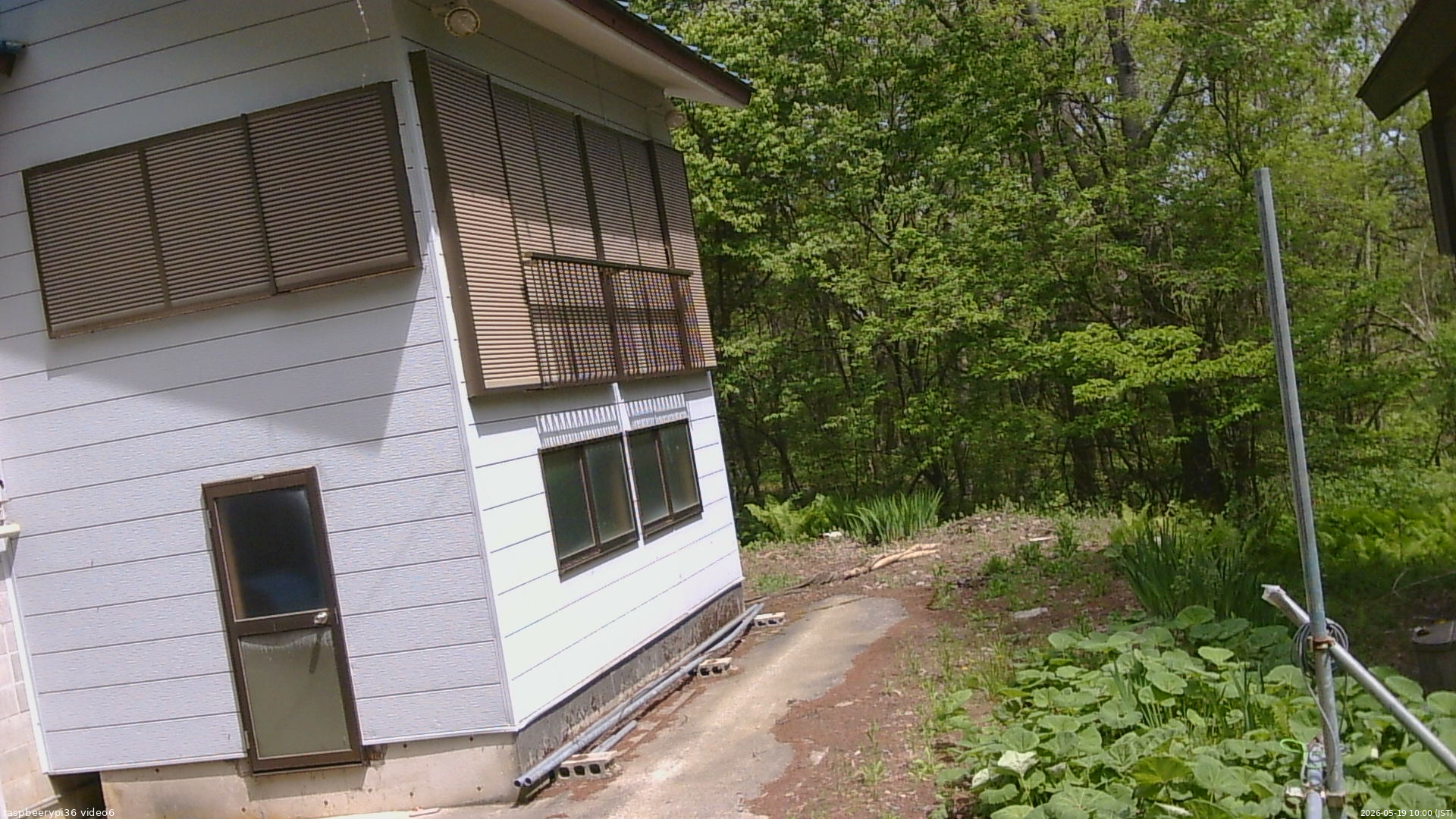 長野県菅平高原 ゆたか山荘 坂下 2026/05/19 10:00