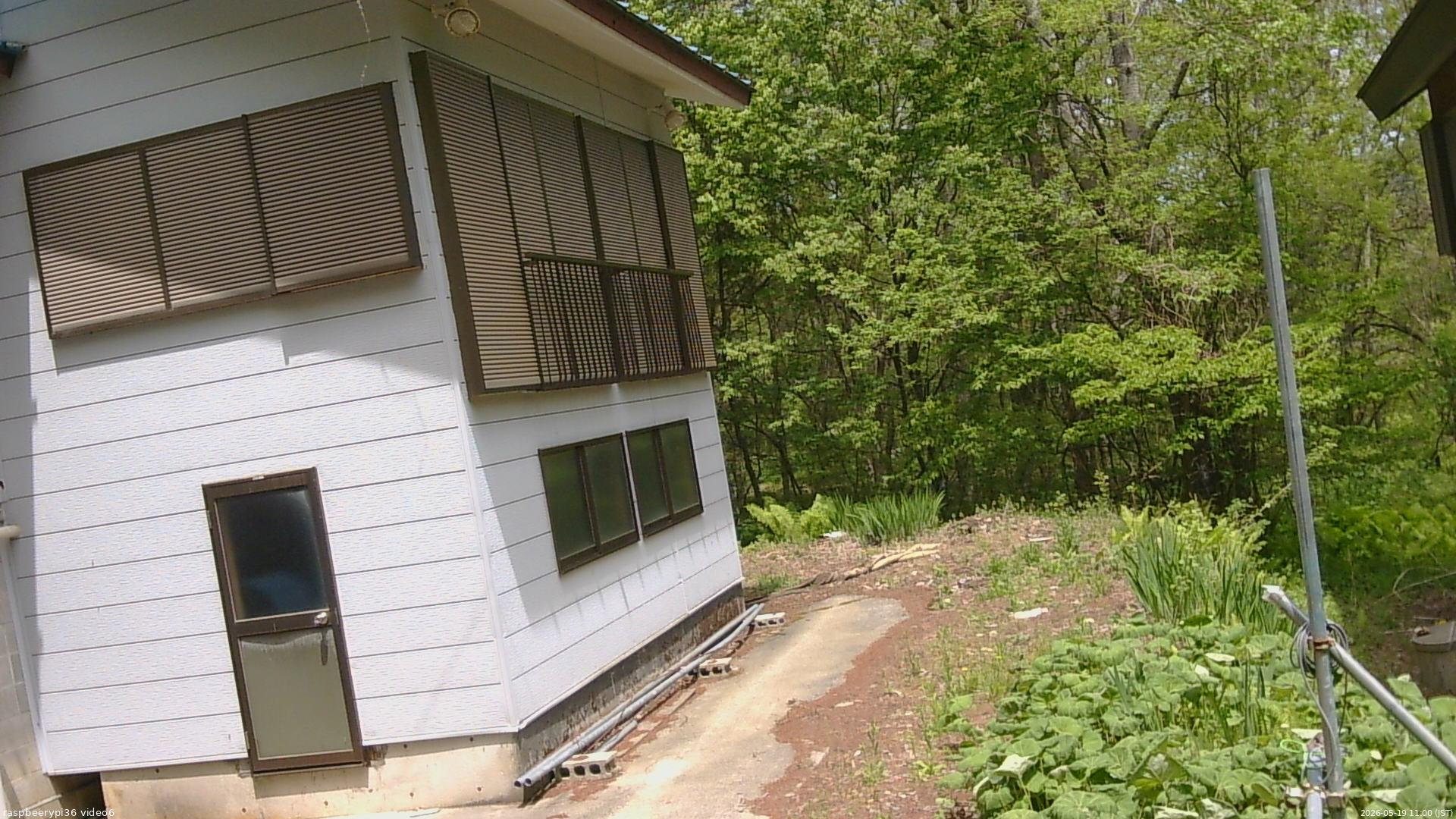 長野県菅平高原 ゆたか山荘 坂下 2026/05/19 11:00