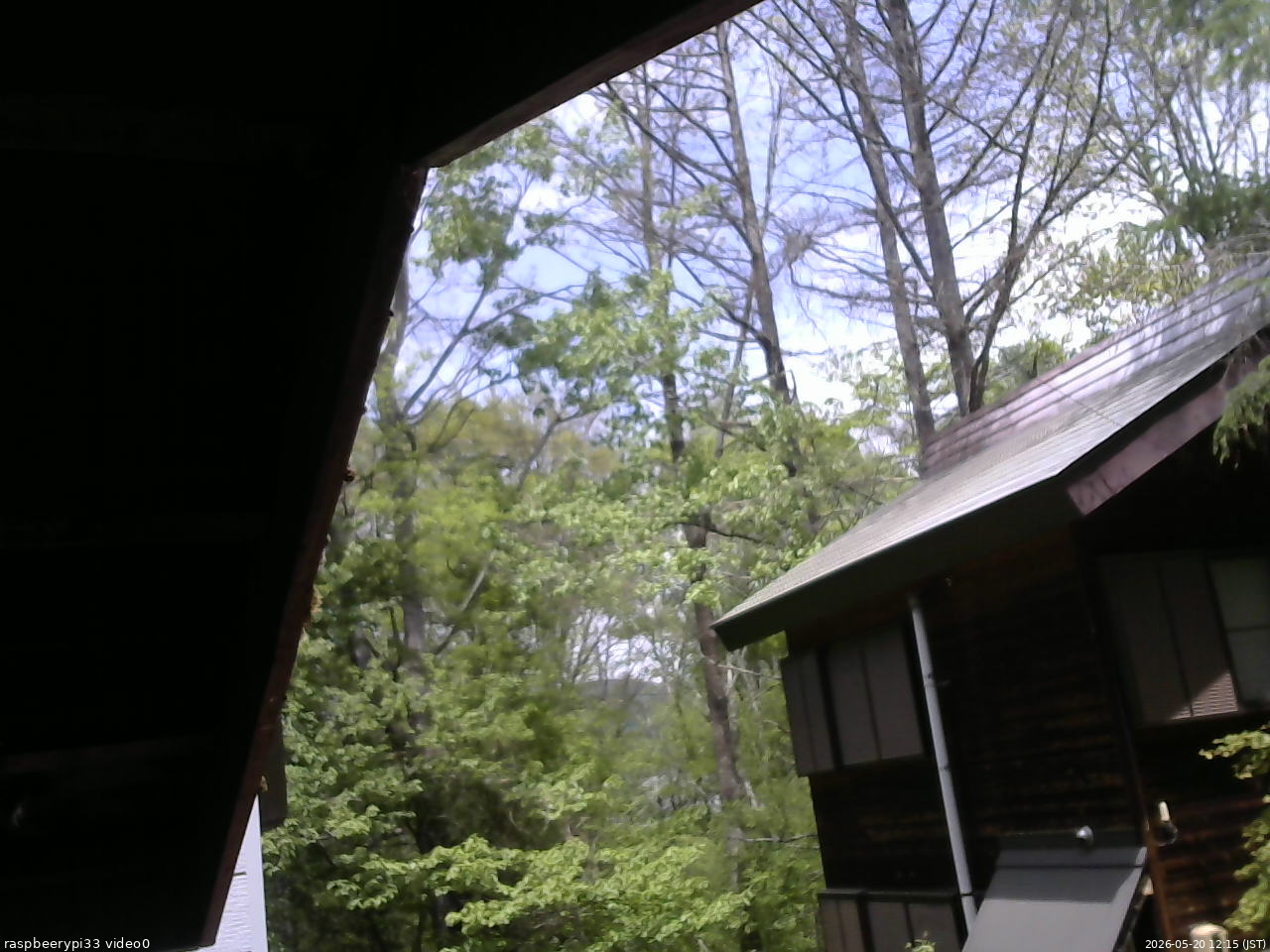 長野県菅平高原 ゆたか山荘 北側 2026/05/20 12:15