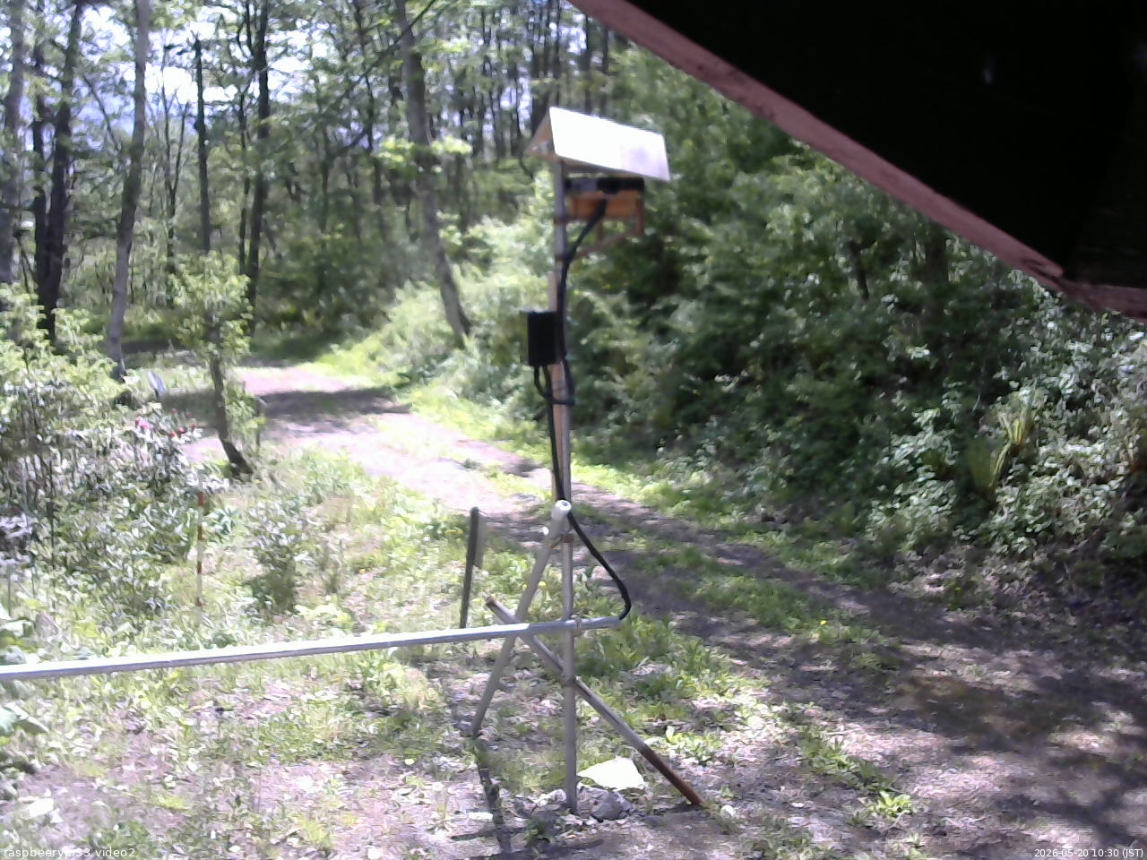 長野県菅平高原 ゆたか山荘 南側 2026/05/20 10:30