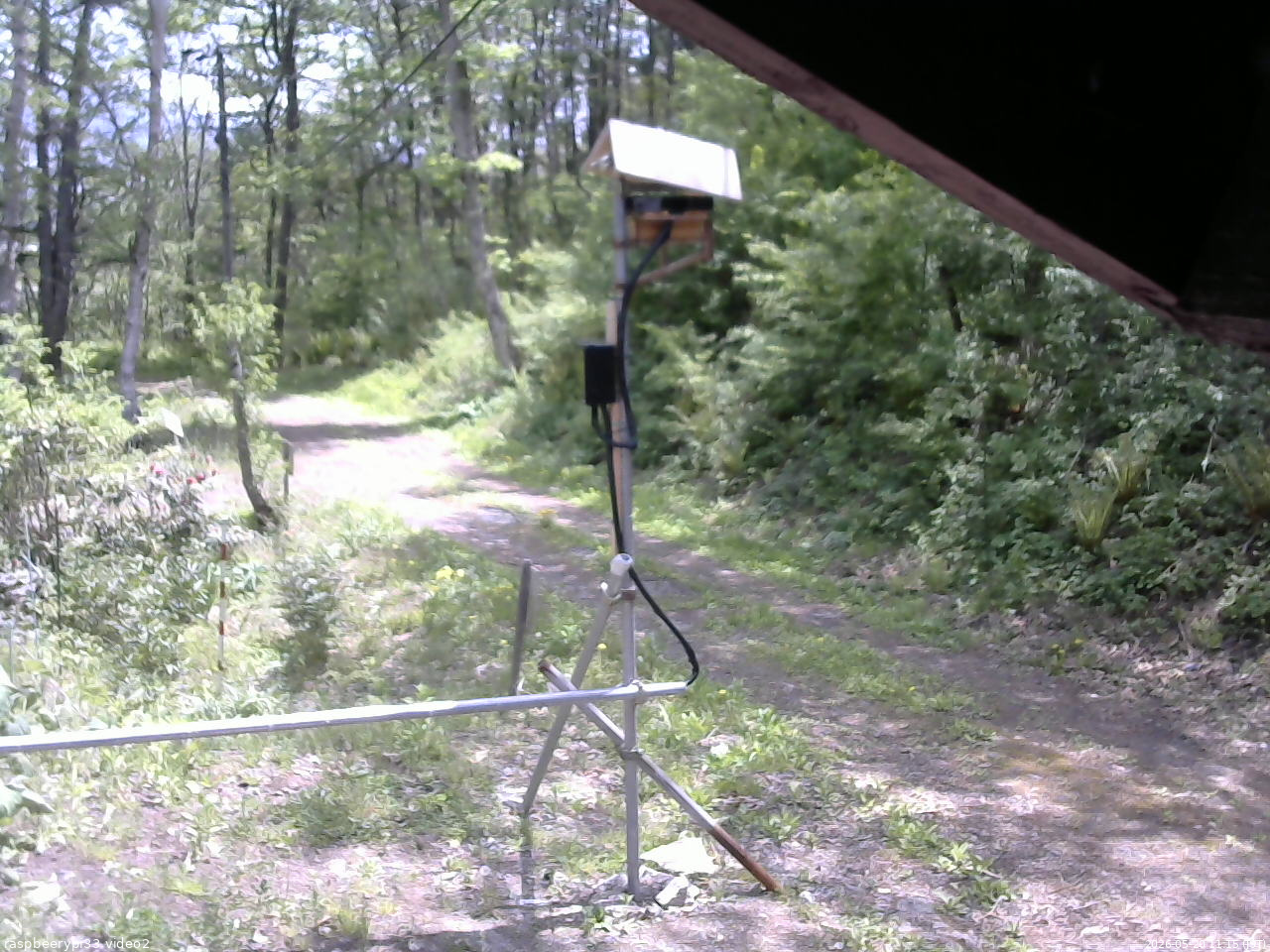 長野県菅平高原 ゆたか山荘 南側 2026/05/20 11:15
