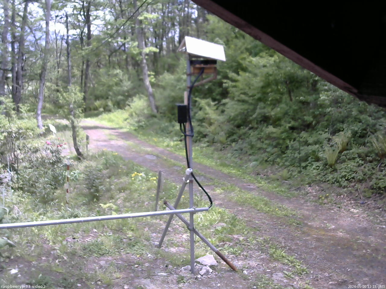 長野県菅平高原 ゆたか山荘 南側 2026/05/20 12:15