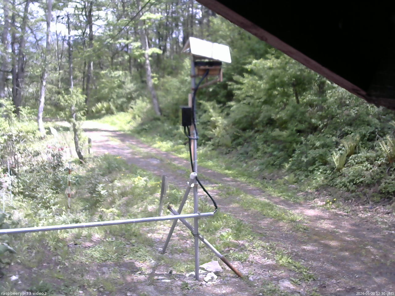 長野県菅平高原 ゆたか山荘 南側 2026/05/20 12:30