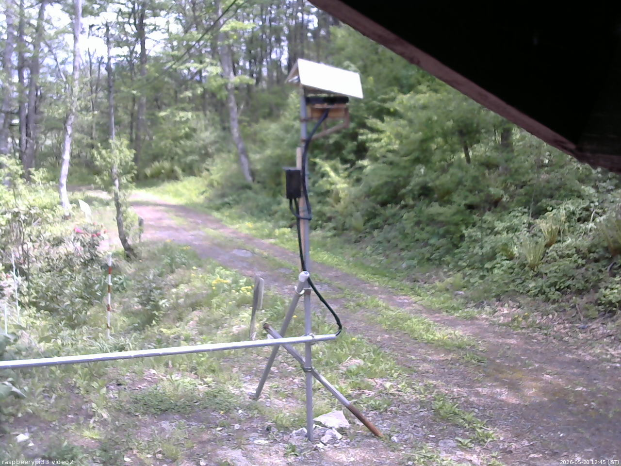 長野県菅平高原 ゆたか山荘 南側 2026/05/20 12:45