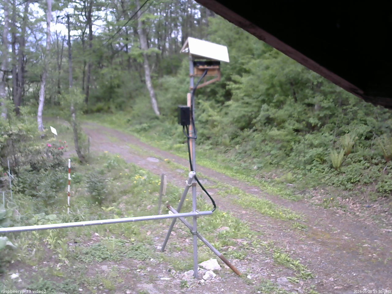 長野県菅平高原 ゆたか山荘 南側 2026/05/20 15:30