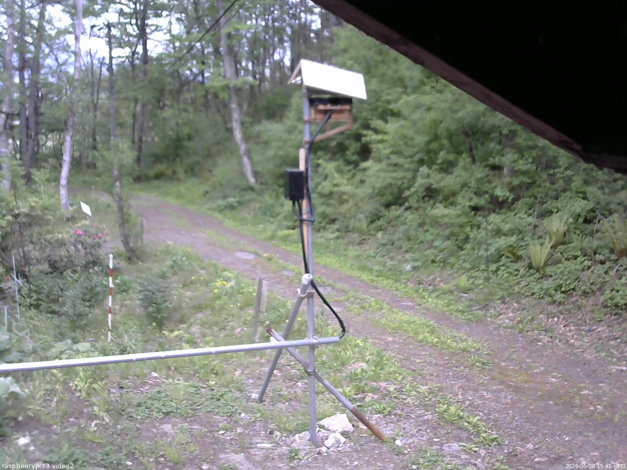 長野県菅平高原 ゆたか山荘 南側 2026/05/20 15:45