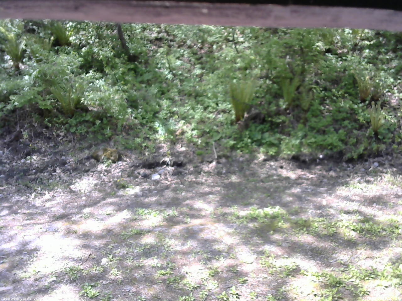 長野県菅平高原 ゆたか山荘 東側(坂下) 2026/05/20 09:30