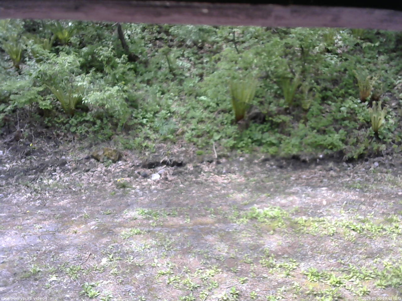 長野県菅平高原 ゆたか山荘 東側(坂下) 2026/05/20 09:45