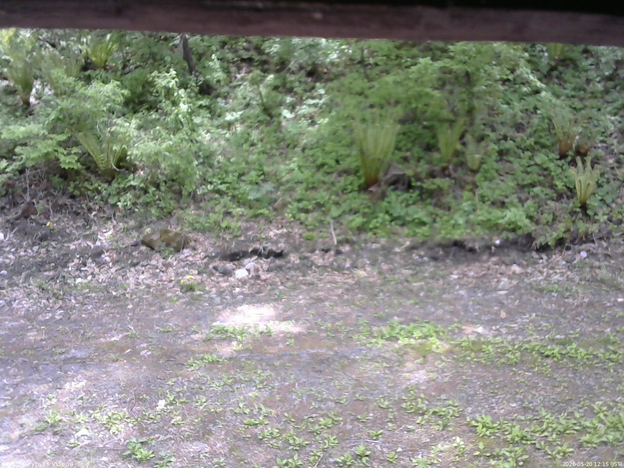 長野県菅平高原 ゆたか山荘 東側(坂下) 2026/05/20 12:15