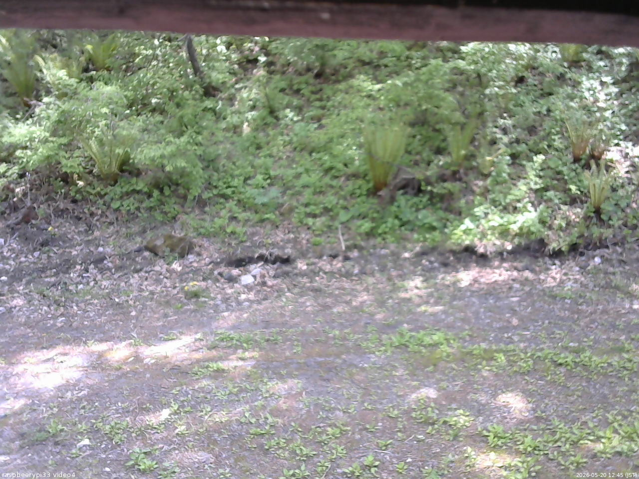 長野県菅平高原 ゆたか山荘 東側(坂下) 2026/05/20 12:45