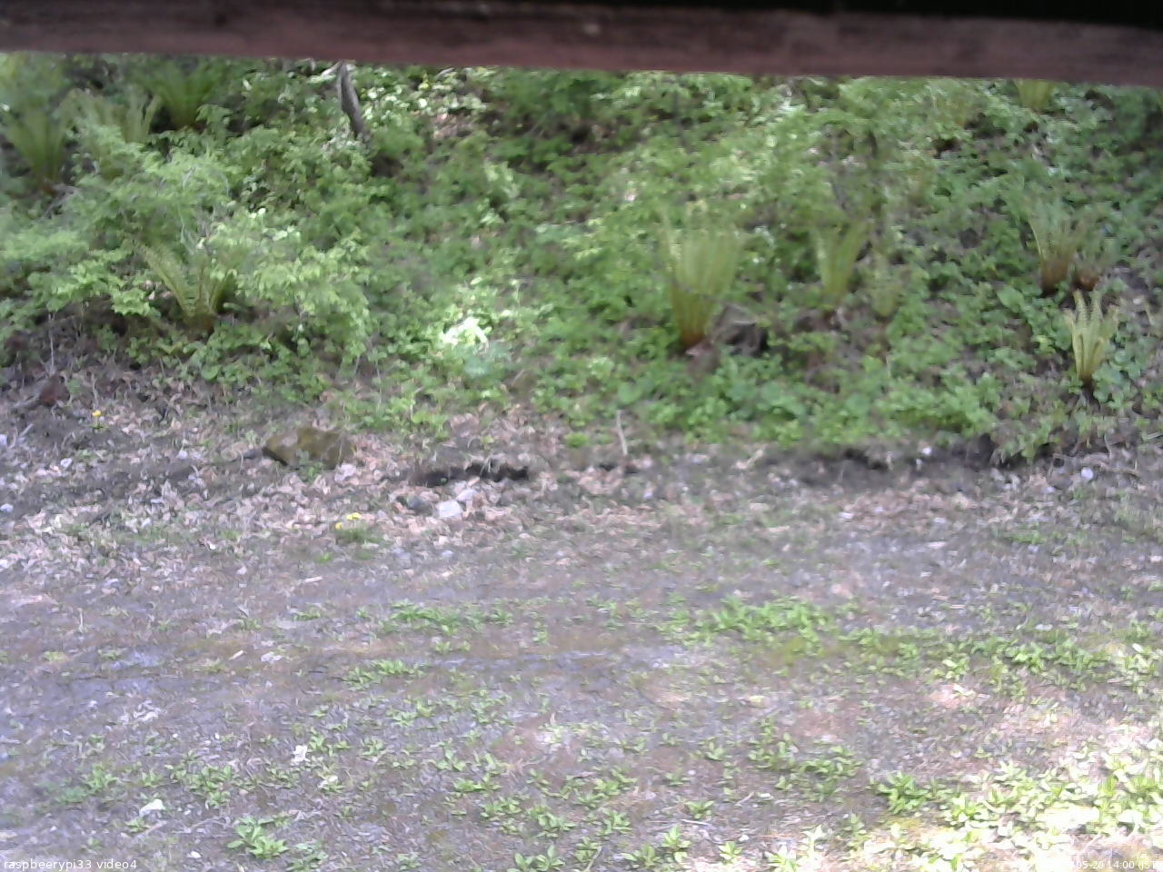 長野県菅平高原 ゆたか山荘 東側(坂下) 2026/05/20 14:00