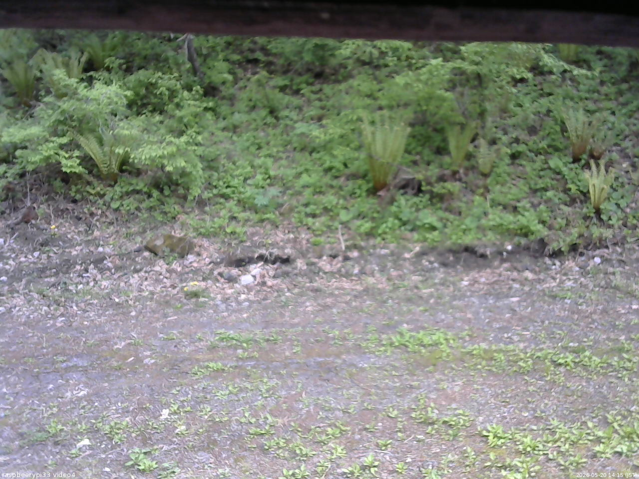長野県菅平高原 ゆたか山荘 東側(坂下) 2026/05/20 14:15