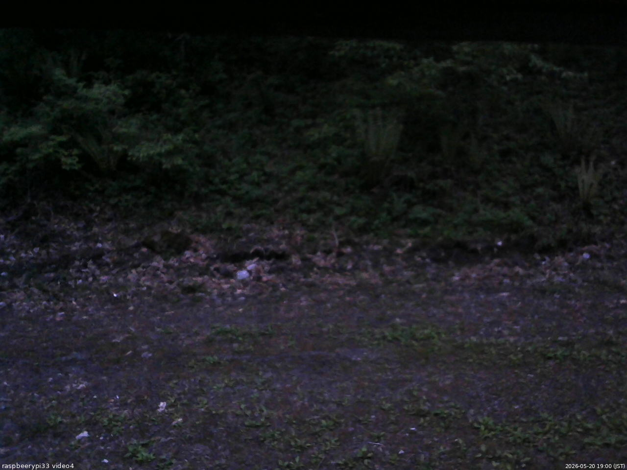 長野県菅平高原 ゆたか山荘 東側(坂下) 2026/05/20 19:00