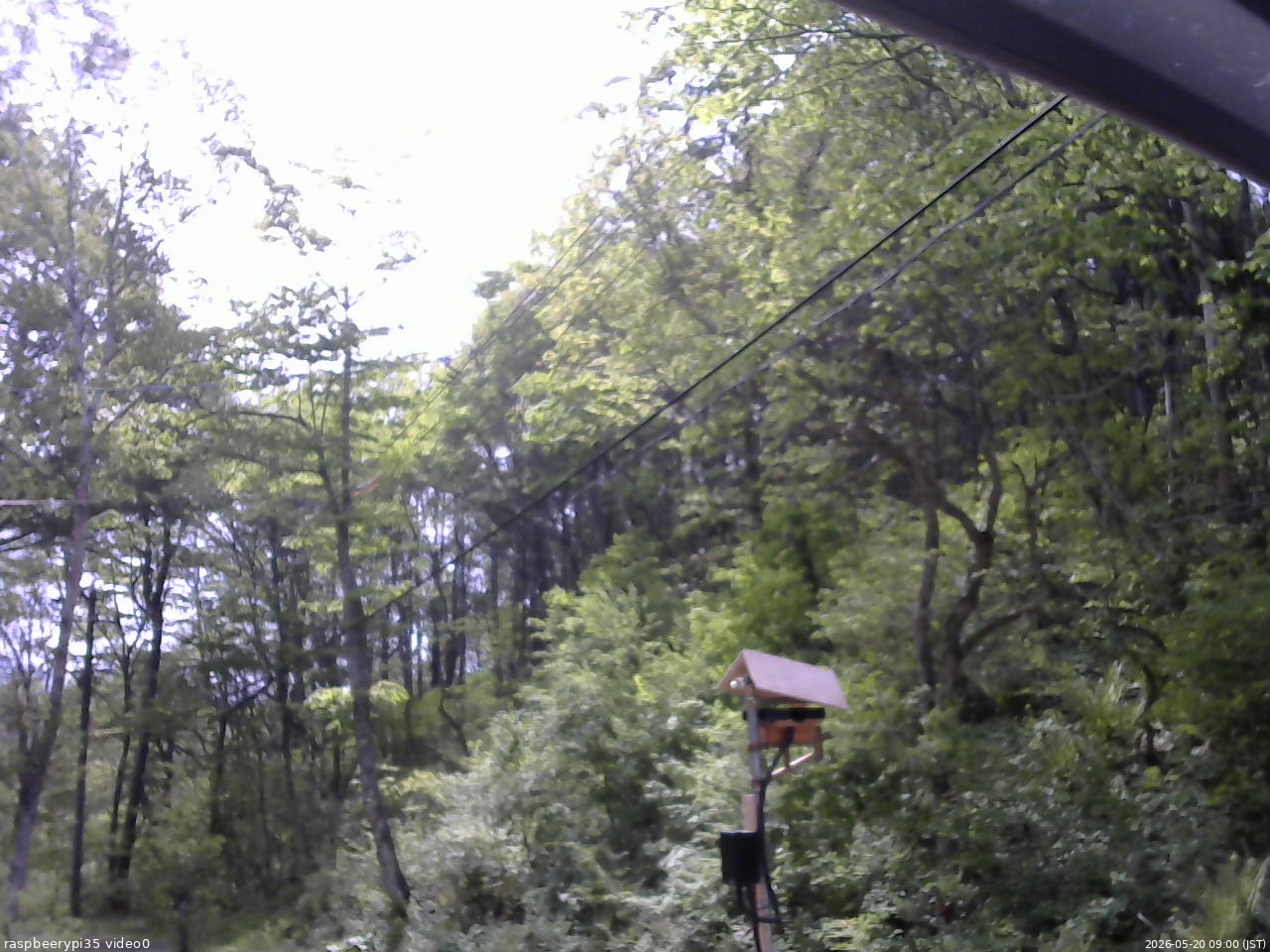 長野県菅平高原 ゆたか山荘 温度計 2026/05/20 09:00