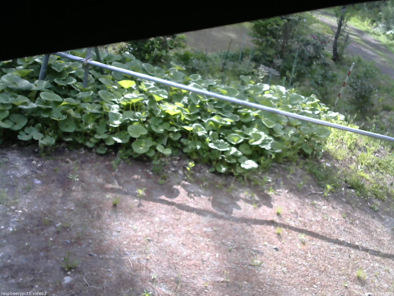 長野県菅平高原 ゆたか山荘 駐車場 2026/05/20 07:00