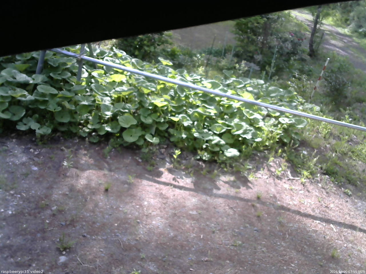 長野県菅平高原 ゆたか山荘 駐車場 2026/05/20 07:15